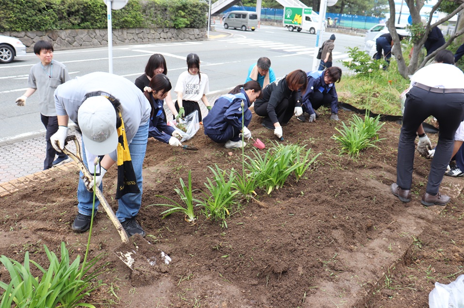 庁舎入口近くの花壇の雑草を抜く職員の写真