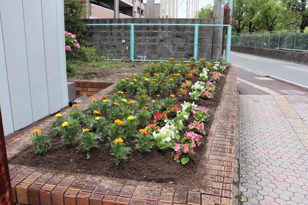 箱崎宮前駅側の花壇の写真