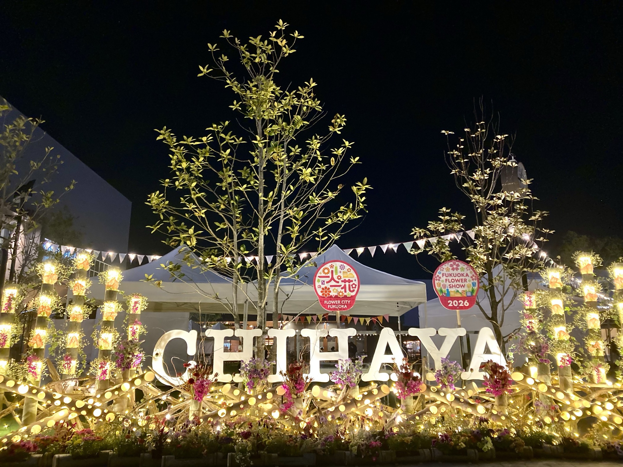 夜に撮影した花のオブジェです