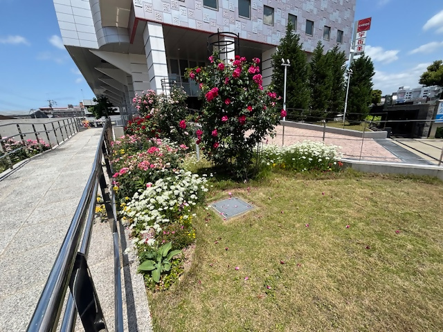 はこざき公園内科医院の花壇の写真
