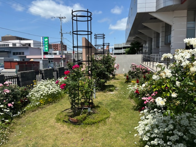 はこざき公園内科医院の花壇の写真