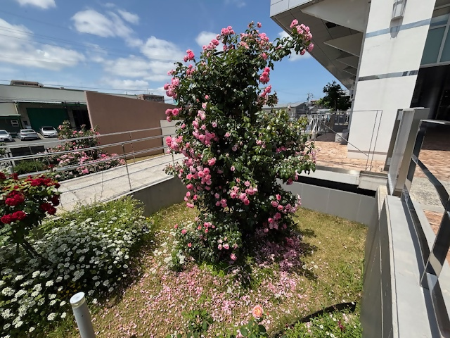 はこざき公園内科医院の花壇の写真