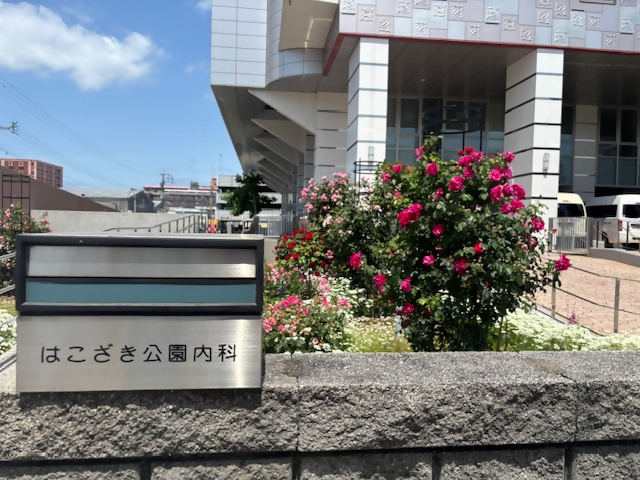 はこざき公園内科医院の花壇の写真