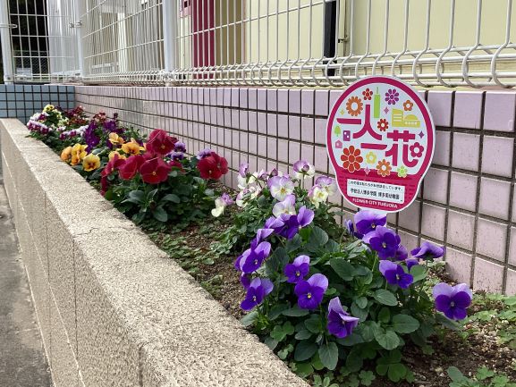博多南幼稚園のプランターの花