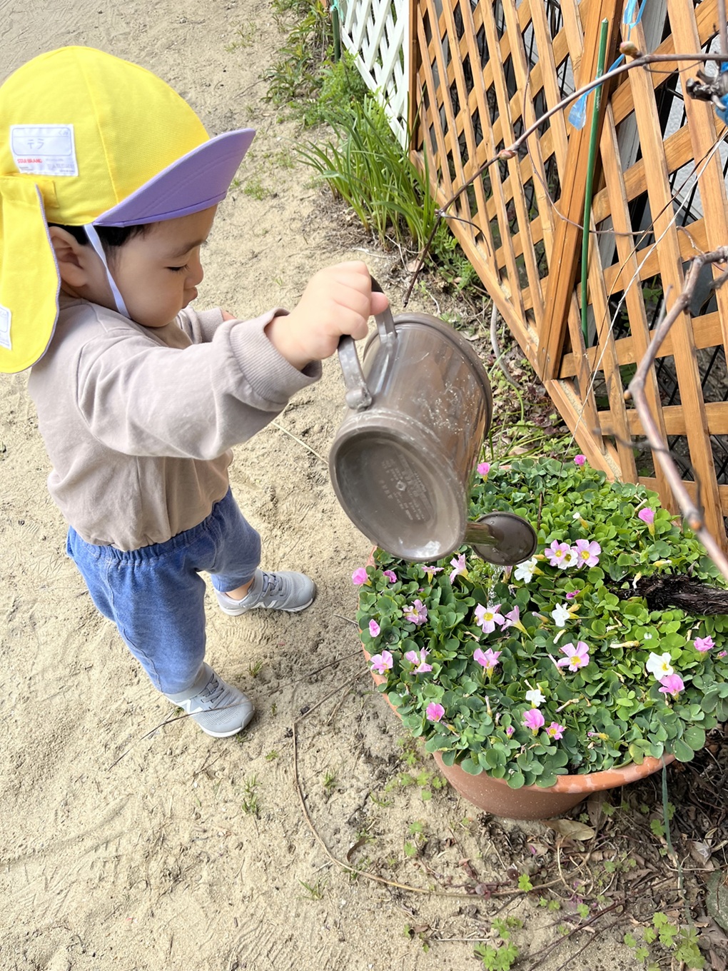 花に水を上げる子供の写真