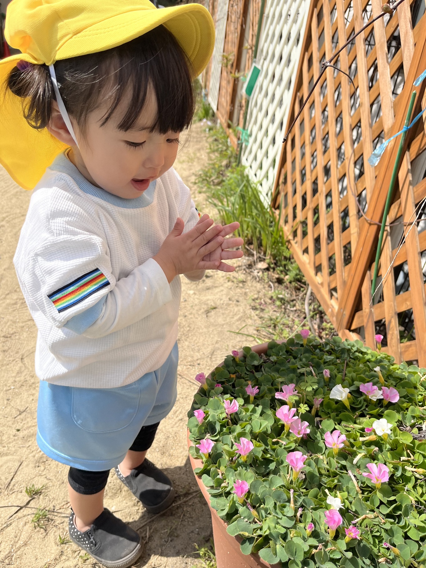 花を見て喜ぶ子供の写真