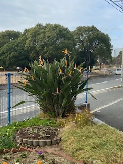 城浜公民館の花壇の写真