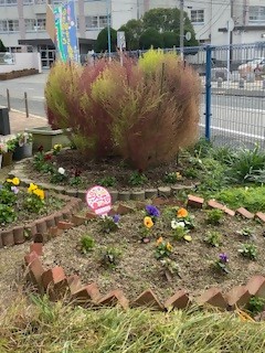 城浜公民館の花壇を撮影
