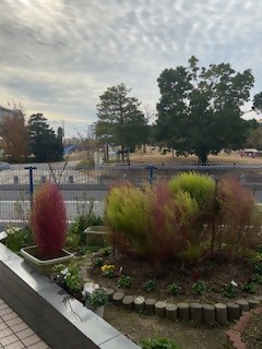 城浜公民館の花壇を別の角度で撮影