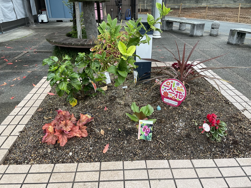 ステップワンド花壇の花壇