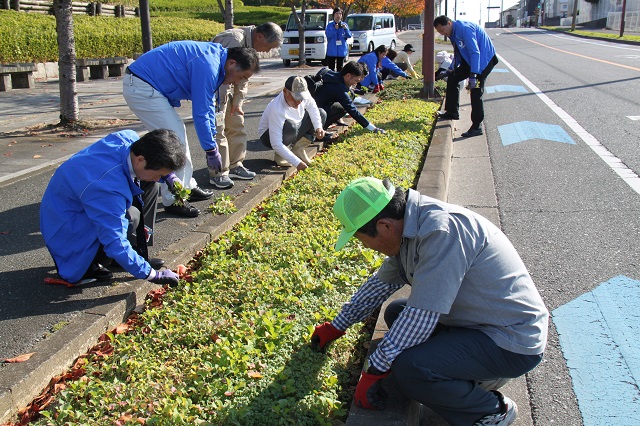全員で間引きをする様子