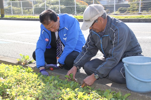 間引きの方法を教わりながら作業