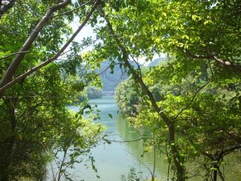 長谷ダムの様子１