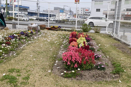 キンギョソウの画像１