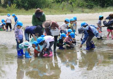 和白干潟の生きもの観察会の様子