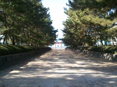 「木漏れ日」の拡大画像