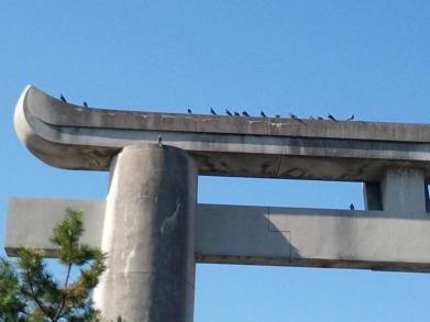 「鳥居の上には」の拡大画像