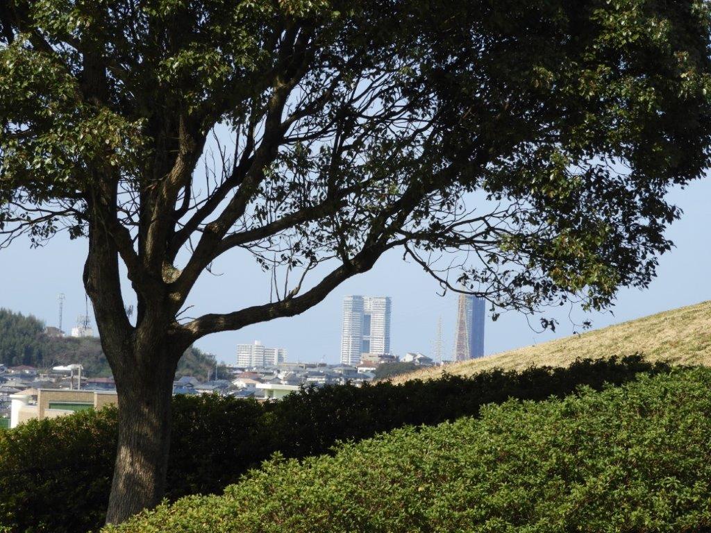 青葉公園の写真2