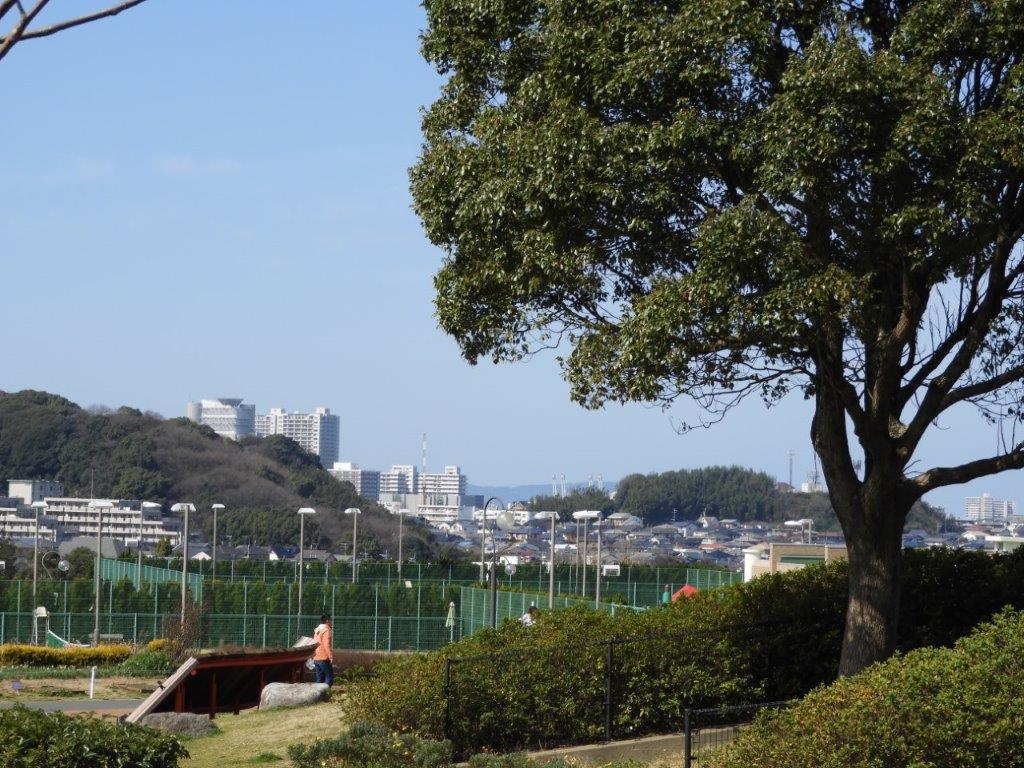 青葉公園の写真3