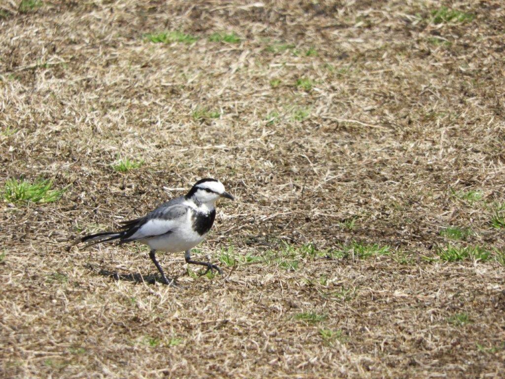 青葉公園の写真4