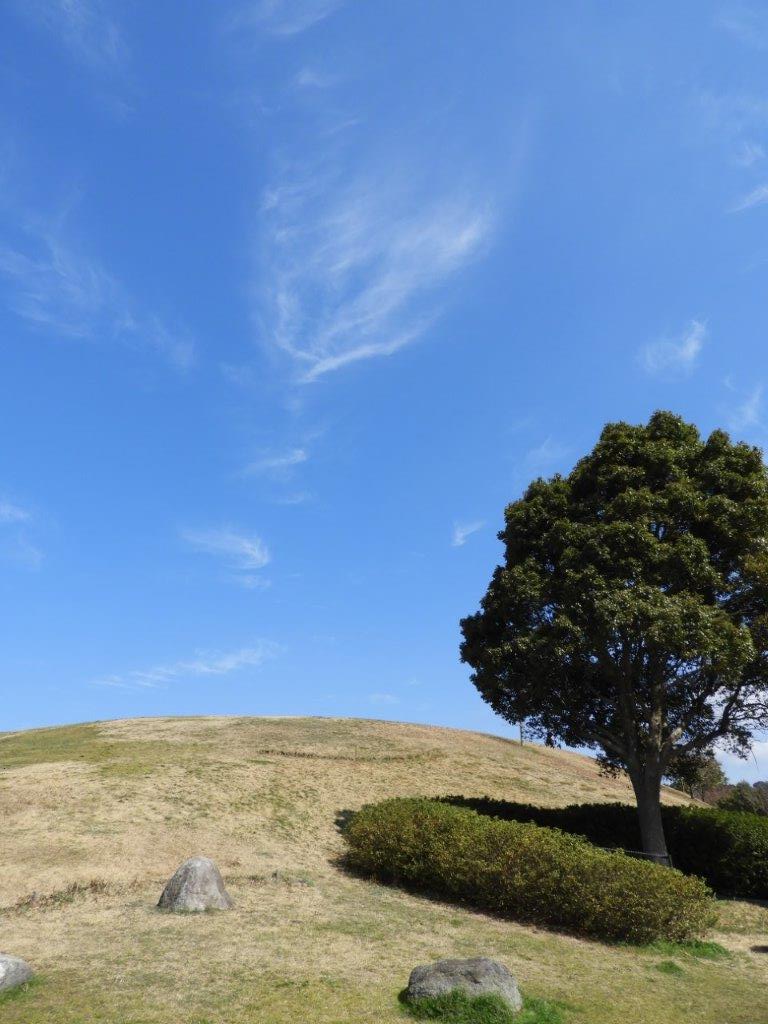 青葉公園の写真7