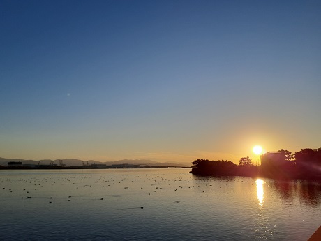 和白干潟の写真