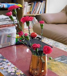 カーネーション１