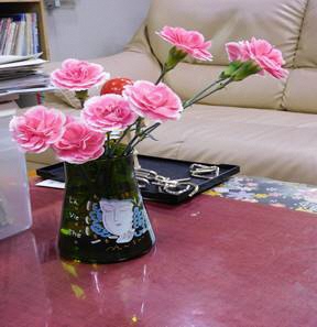 カーネーション４