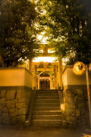 綿津見神社からの風景
