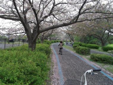 「海の中道海浜公園」の拡大画像２