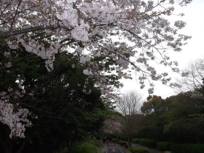 「海の中道海浜公園」の拡大画像３