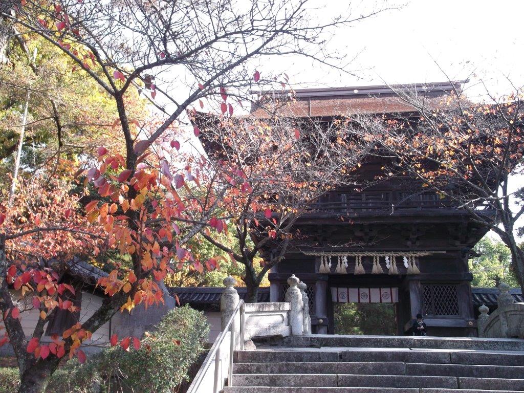 香椎宮の色づいた木々の様子２