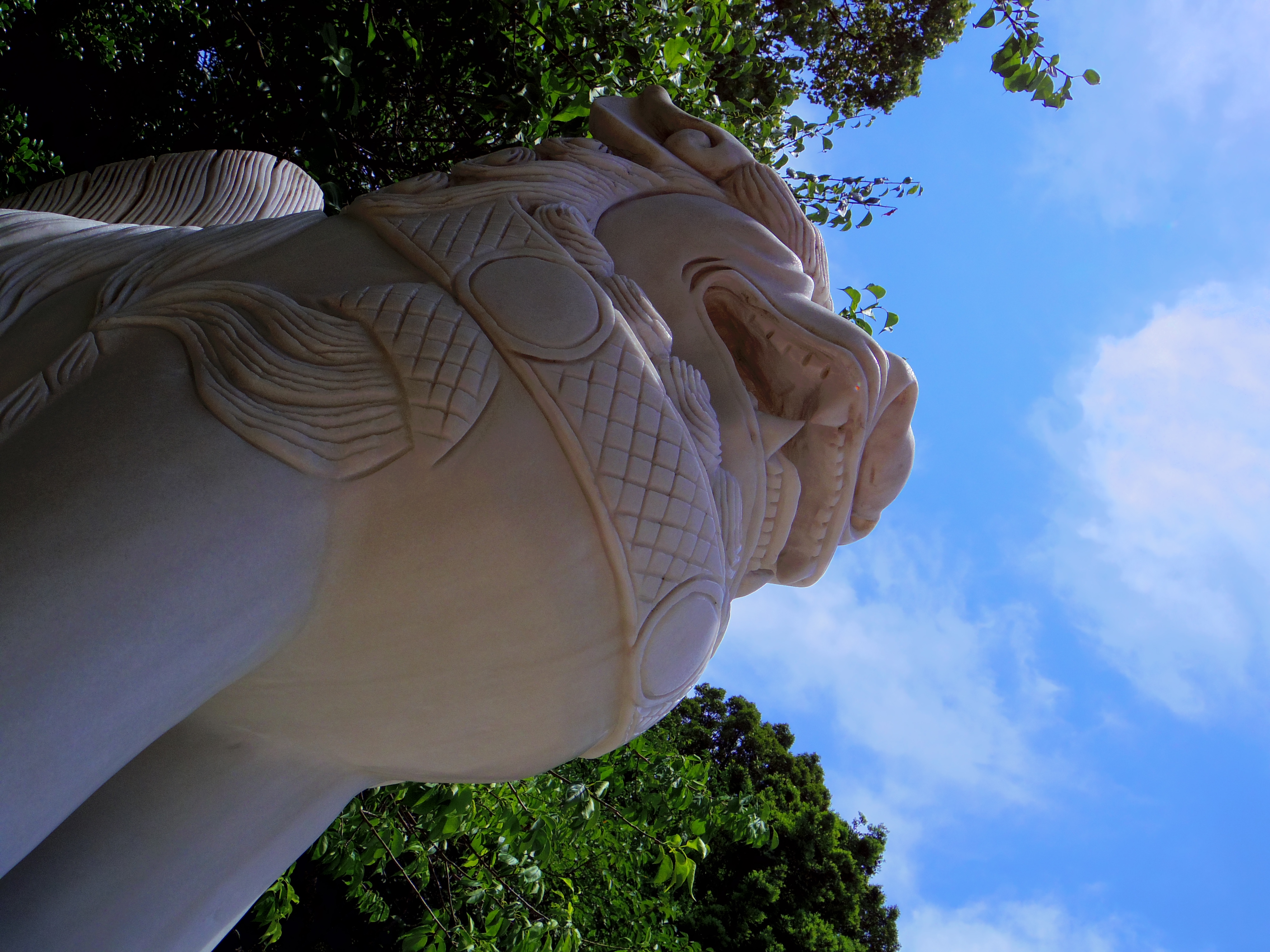 こま犬と空の写真