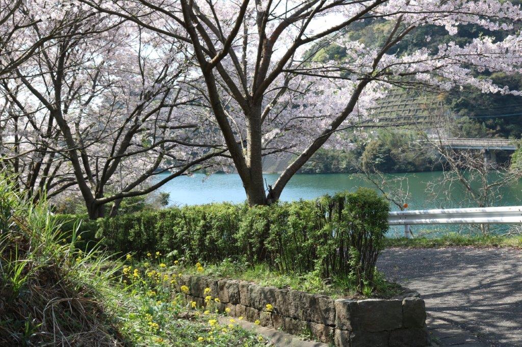 長谷ダムふれあいロードの写真4