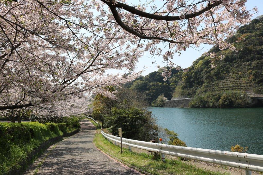 長谷ダムふれあいロードの写真1