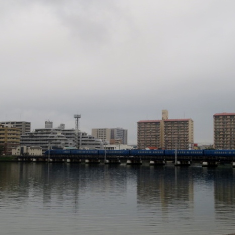 多々良川遊歩道の写真2