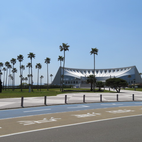 海の中道海浜公園の写真3