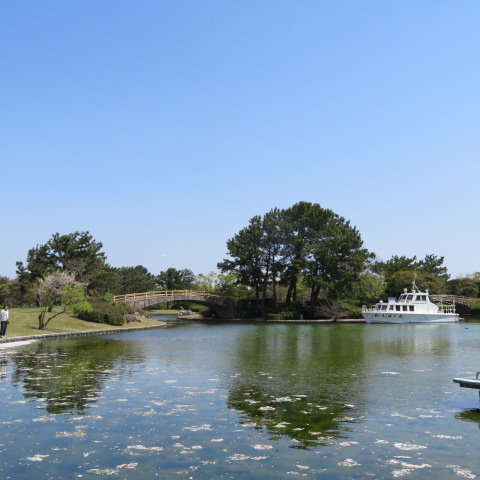 海の中道海浜公園の写真4