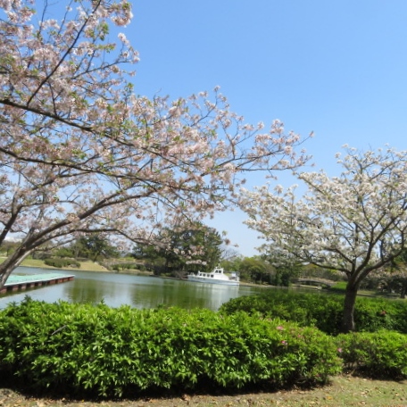 海の中道海浜公園の写真5