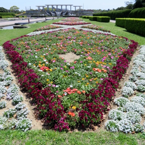 海の中道海浜公園の写真6