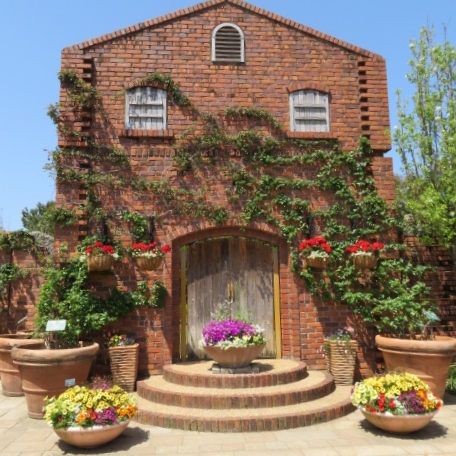 海の中道海浜公園の写真7