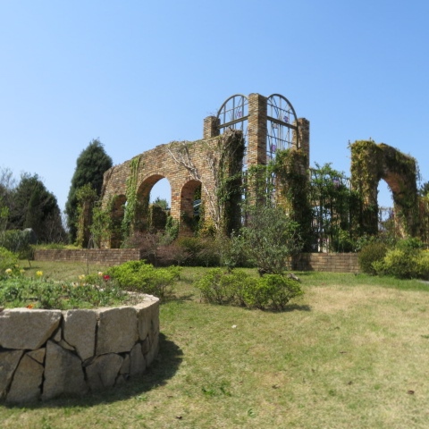 海の中道海浜公園の写真8