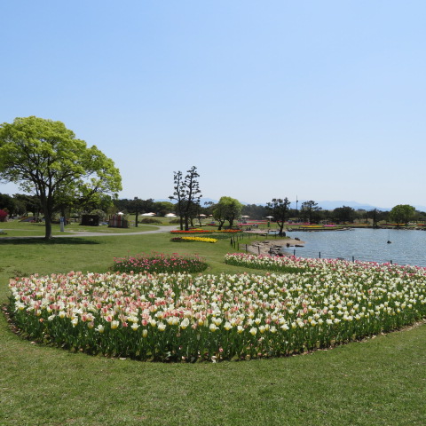 海の中道海浜公園の写真9