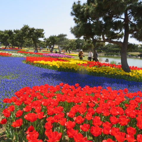 海の中道海浜公園の写真11