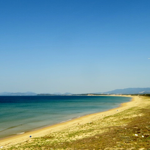 海の中道海浜公園の写真1