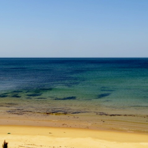 海の中道海浜公園の写真2