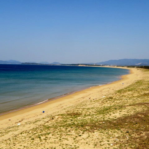 海の中道海浜公園の写真3