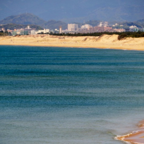 海の中道海浜公園の写真5