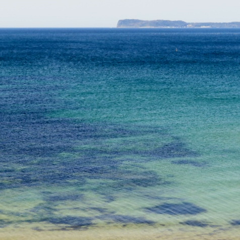 海の中道海浜公園の写真6