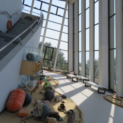 海の中道海浜公園の写真7